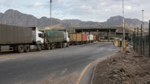 Xenophobia fleet logistics disruption — cross-border freight trucks at South African border post checkpoint